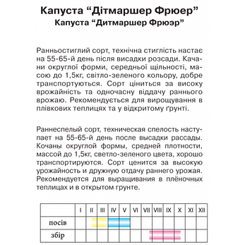 Капуста "Дитмаршер Фрюер", вагова, 10 г, фото 2