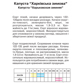 Капуста Харківська зимова", фото 2