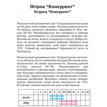Огірок "Конкурент", фото 2