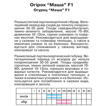 Огірок Маша F1, фото 2