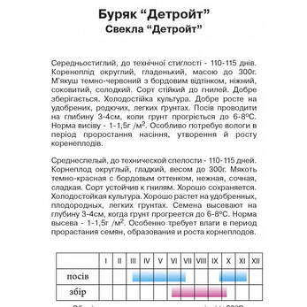 Буряк "Детройт", 2 г, фото 2