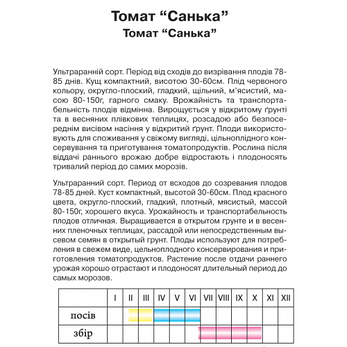 Томат "Санька", ваговий, 10 г, фото 2