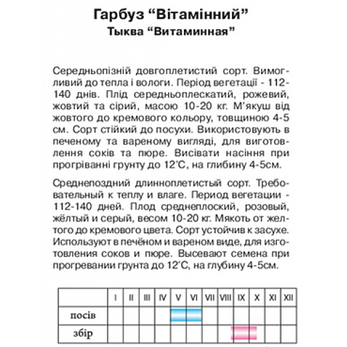 Гарбуз "Вітамінна", 2г, фото 2