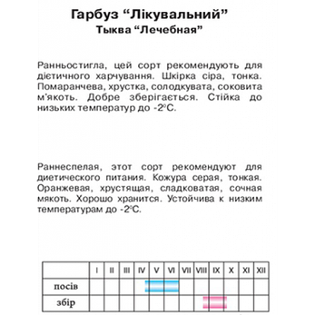 Гарбуз "Лікувальна", 2г, фото 2