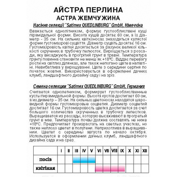Астра Перлина, фото 2