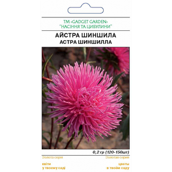 Астра Шиншила, фото 2