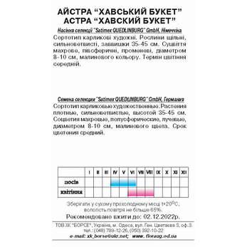 Астра Перлина, фото 2
