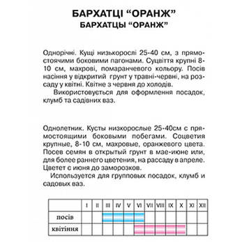 Оксамитники "Оранж", фото 2