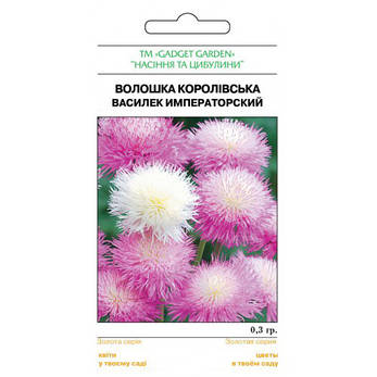 Волошка імператорський, фото 2