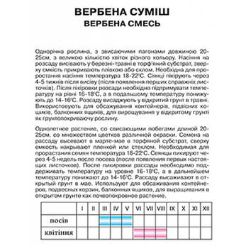 Вербена суміш, фото 2