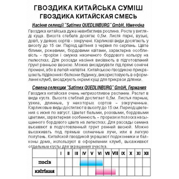 Гвоздика Китайська суміш, фото 2