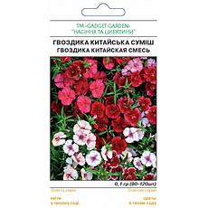 Гвоздика Китайська суміш, фото 2