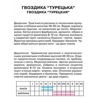 Гвоздика Турецька, фото 2