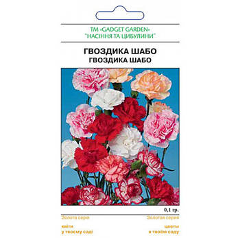 Гвоздика Шабо, фото 2