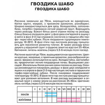 Гвоздика Шабо, фото 2
