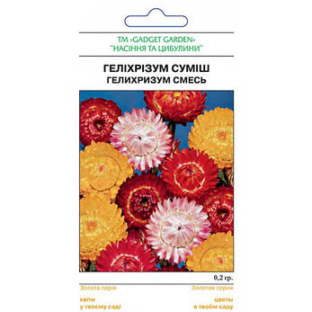 Геліхризум, фото 2