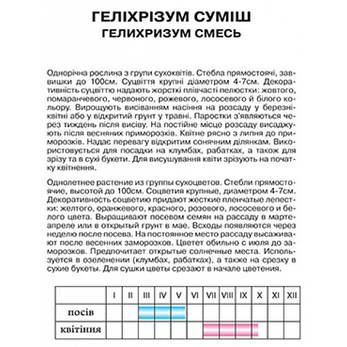 Геліхризум, фото 2