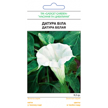 Датура біла, фото 2