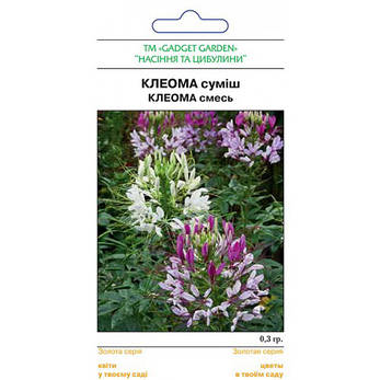 Клеома суміш, фото 2