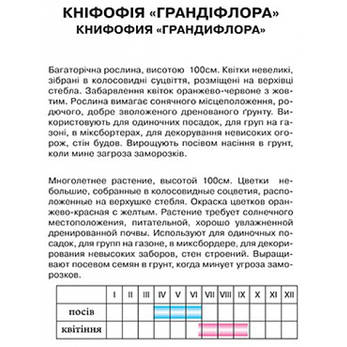 Кніфофія "Грандифлора", фото 2