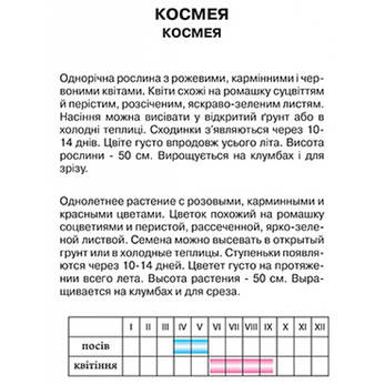 космея, фото 2