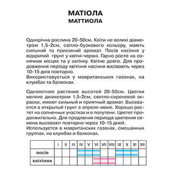 Матіола, фото 2
