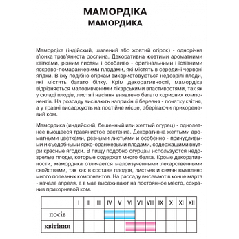 Мамордика, фото 2