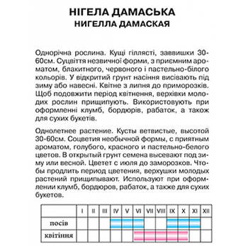 Нігела дамаська, фото 2