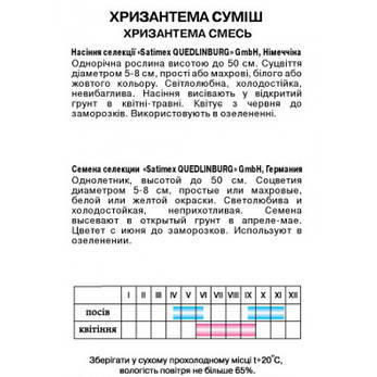 Хризантема суміш, фото 2