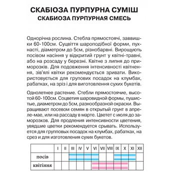Скабіоза Пурпурова суміш, фото 2