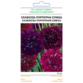 Скабіоза Пурпурова суміш, фото 2