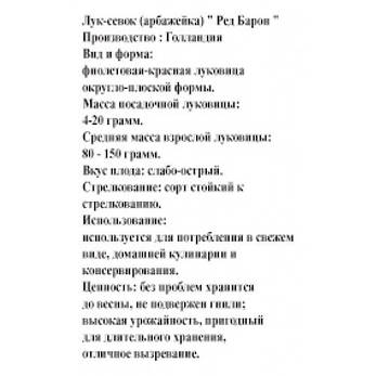 Цибуля сівок "Ред Барон", Голландія. 500 г., фото 2