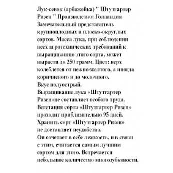 Цибуля сівок "Штутгартер Різен", Голландія. 500 р., фото 2