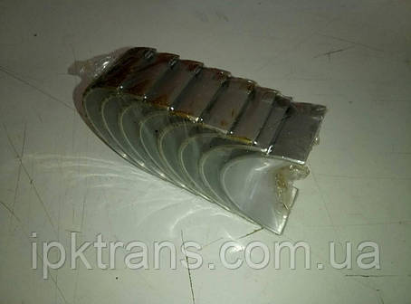 Вкладки шатунні XINCHAI 485BPG +0,25 (NA385B42006), фото 1