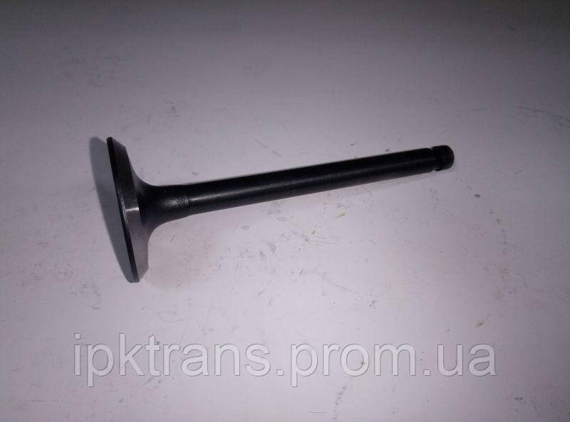 Клапан впускной XINCHAI 485BPG (NA385B03014) 