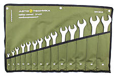 Набір ключів комбінованих ʺАвтотехникаʺ 101140 (14 предметів)