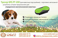 Ваш улюблений вихованець пропав? Трекер GPS PT-690 визначить місцезнаходження Вашого вихованця