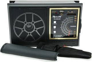 Радіо плеєр ФМ переносний GOLON RX-98UAR USB_SD_music Player, фото 2