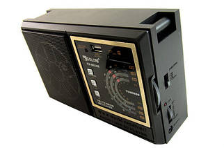 Радіо плеєр ФМ переносний GOLON RX-98UAR USB_SD_music Player, фото 2