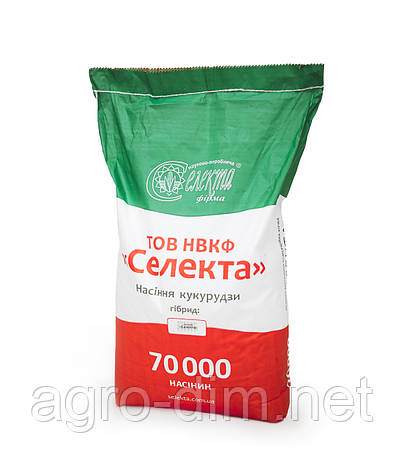 Насіння кукурудзи Зернослав ТОВ НВКФ "Селекта", фото 1