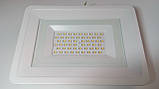 LED прожектор VIDEX 30W 5000K 220V White, фото 2