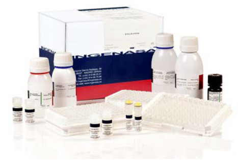 Тест-система для серодіагностики специфічних антитіл до B. melitensis в сироватці крові методом ІФА