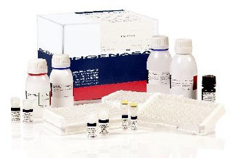 Тест-система для діагностики туберкульоза (Mycobacterim Bovis) свиней методом ІФА