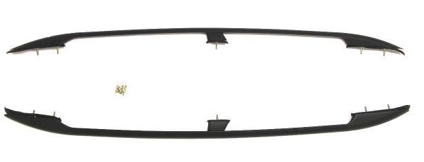 Renault Grande Scenic 2003-2009 Рейлінги Чорні, фото 1