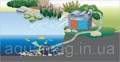 Комплект фильтрации OASE BioSmart Set 5000 для пруда, водоема, озера, водопада, фото 2