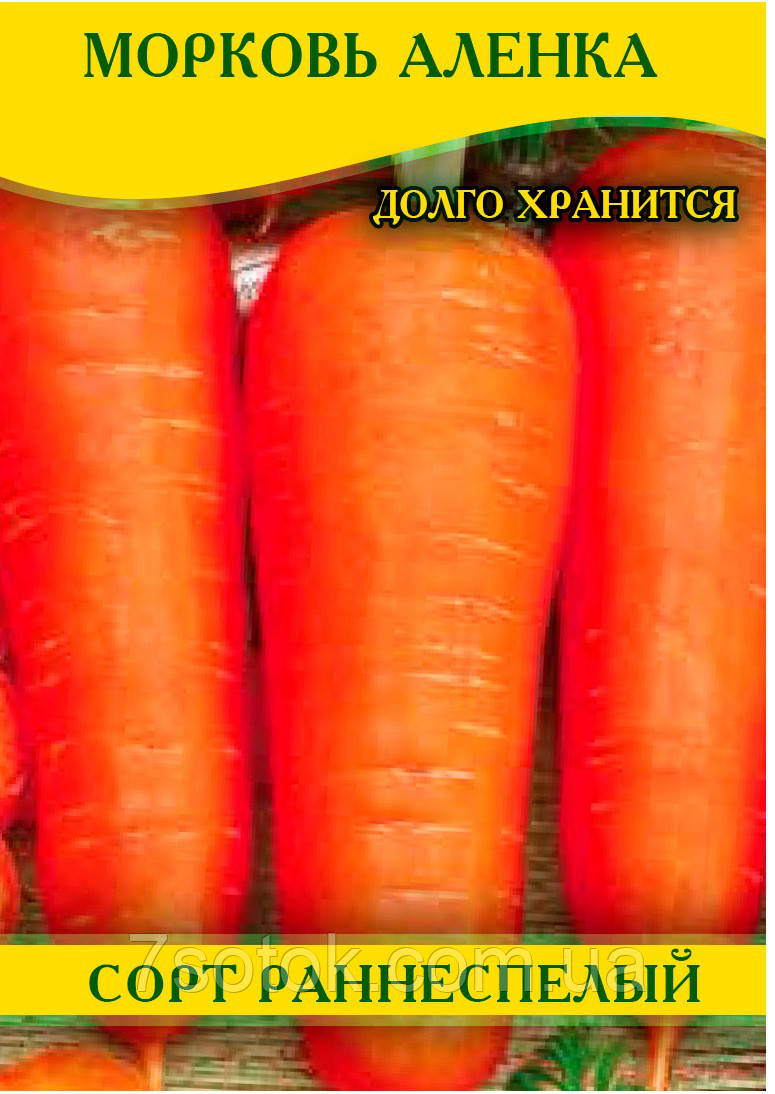 Насіння моркви Оленка, 1кг