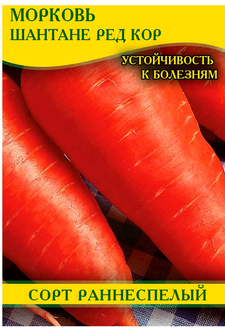 Насіння моркви Шантане Ред Кор, 1кг