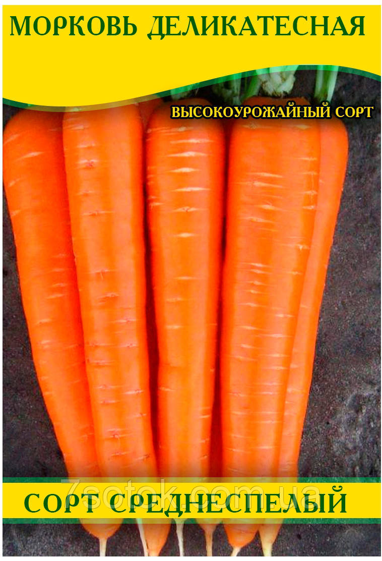 Насіння моркви Делікатесна, 1кг