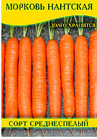 Насіння моркви Нантська, 1кг