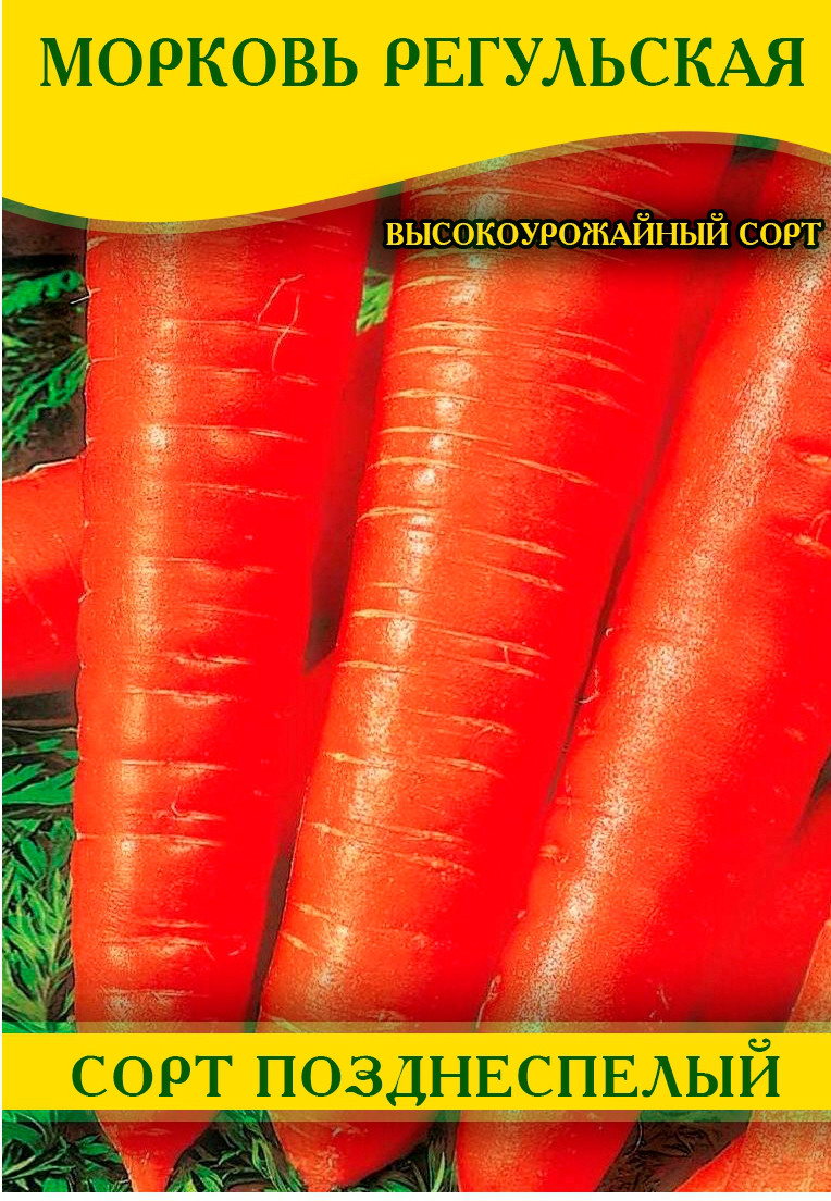 Насіння моркви Регульська, 1кг